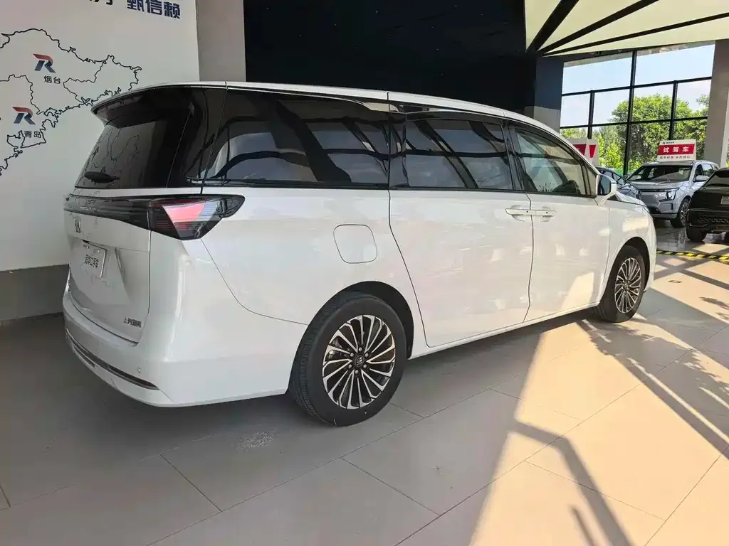 Buick GL8 Hybrid — фото 10