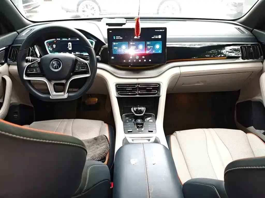 BYD PLUS New Energy — фото 3