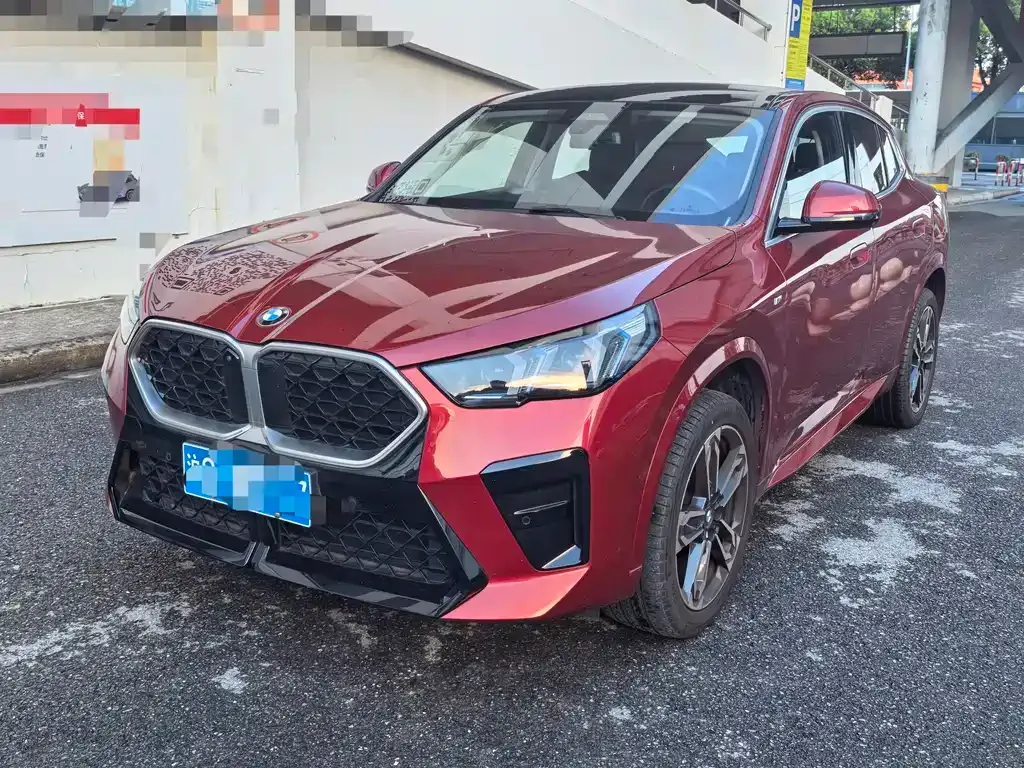 BMW X2 (Import) — фото 1