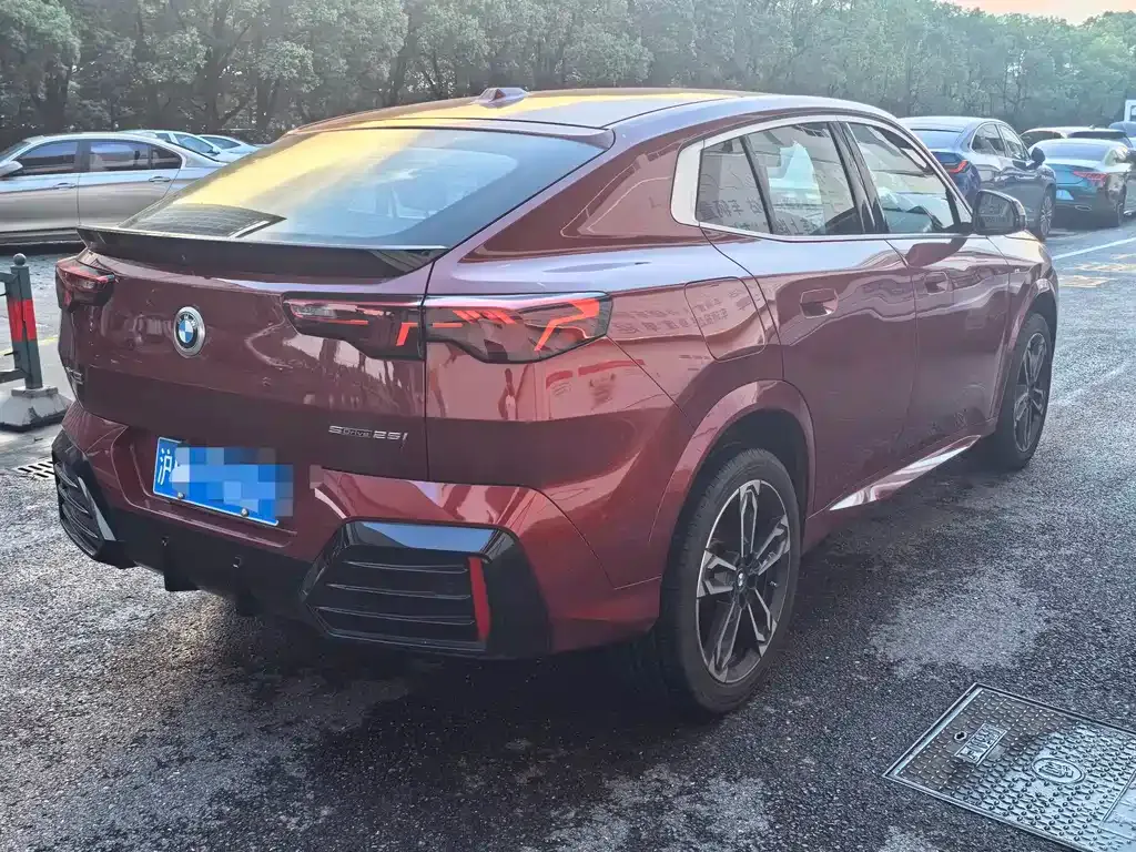 BMW X2 (Import) — фото 6