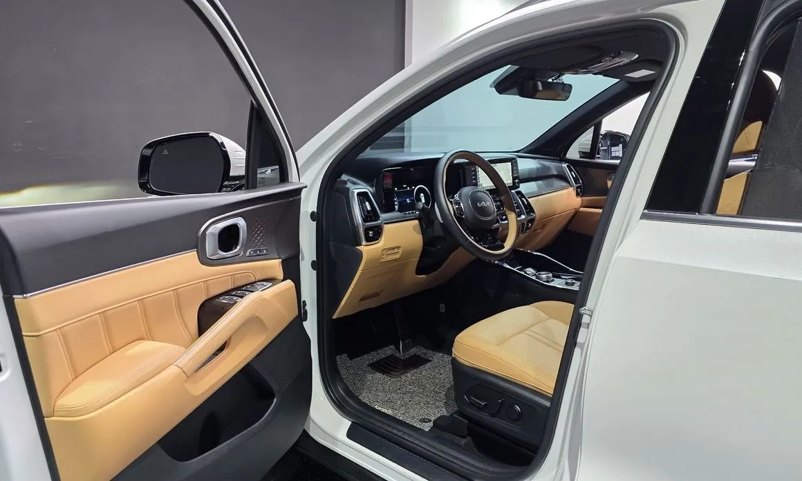 Kia Sorento — фото 10
