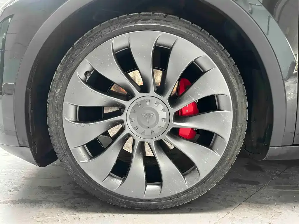 Tesla Model Y — фото 3