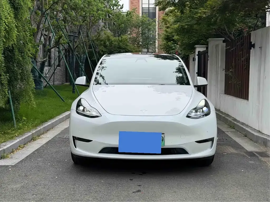 Tesla Model Y — фото 1