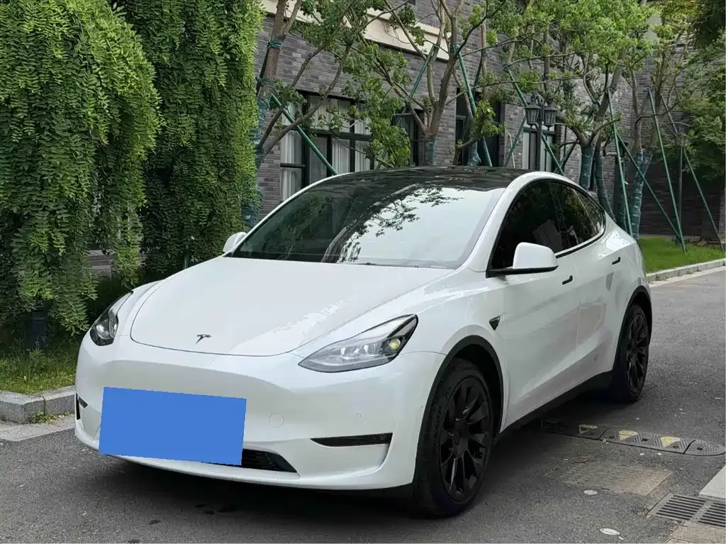 Tesla Model Y — фото 8