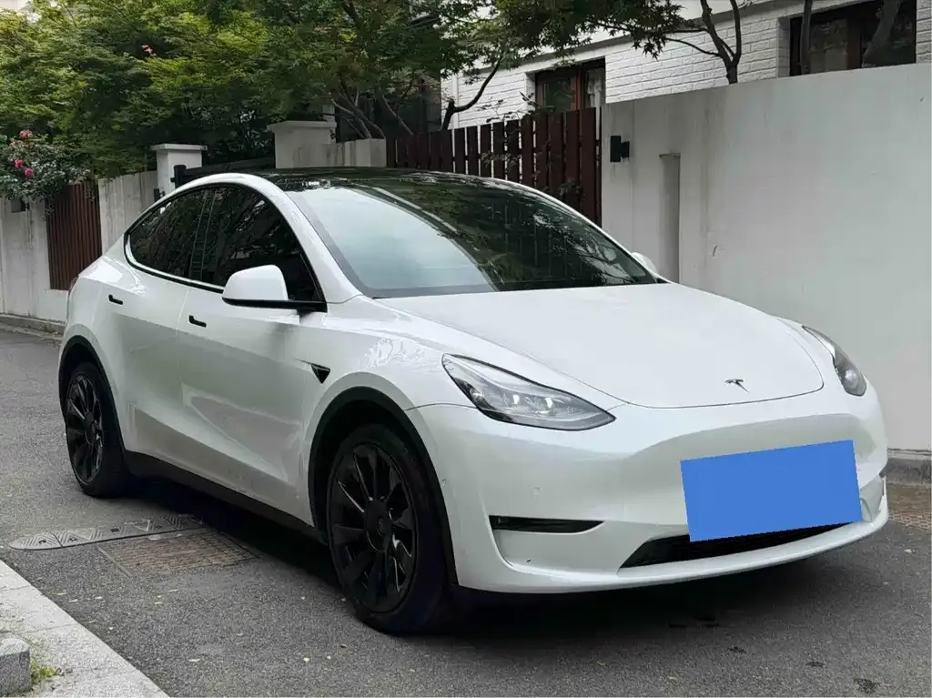 Tesla Model Y — фото 2