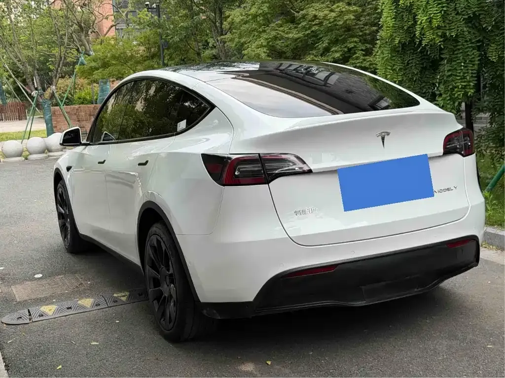 Tesla Model Y — фото 7