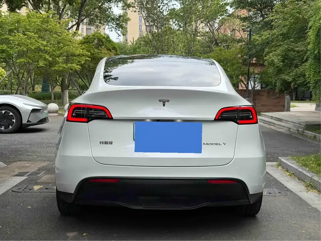 Tesla Model Y — фото 3