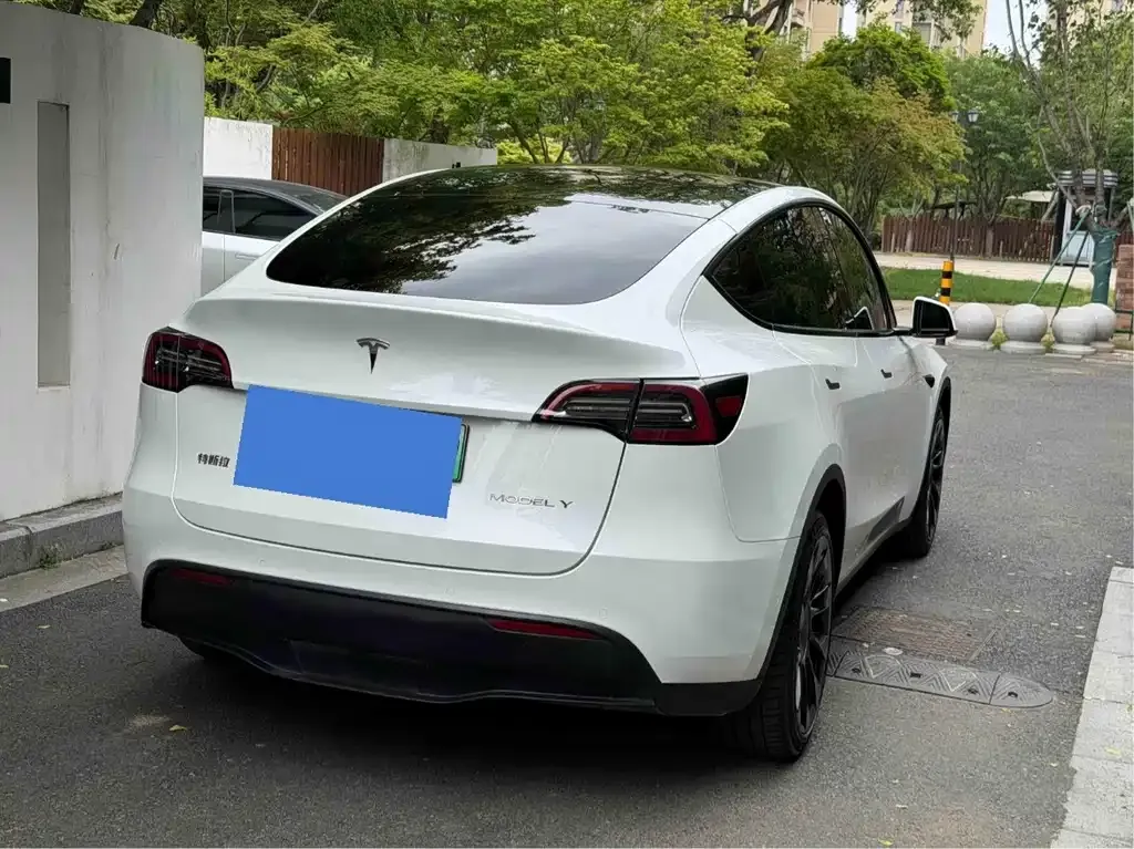 Tesla Model Y — фото 9