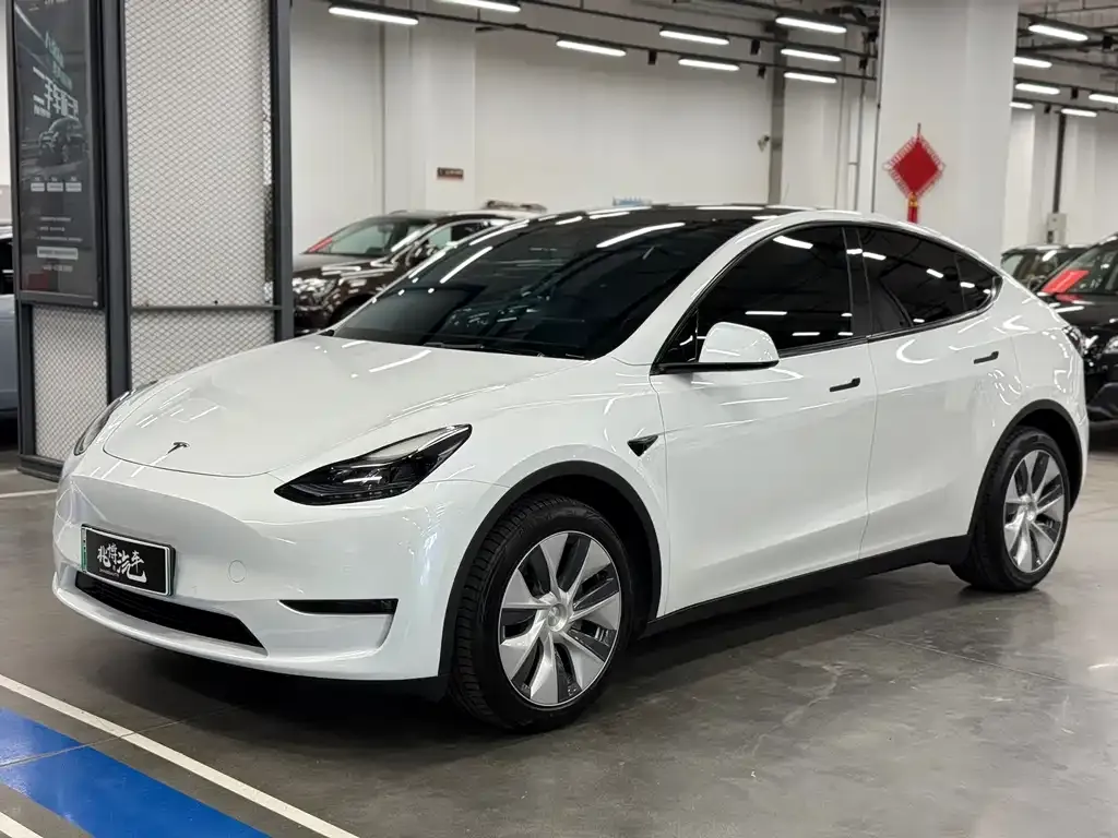Tesla Model Y — фото 1