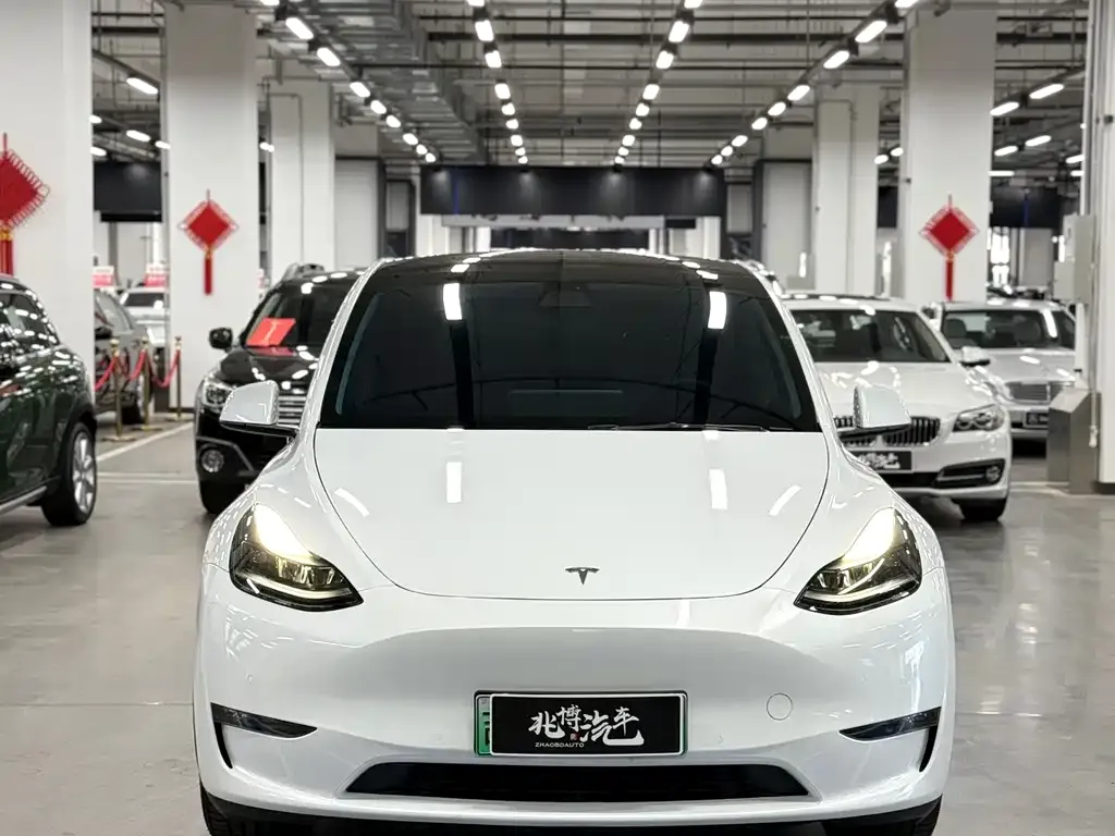 Tesla Model Y — фото 3