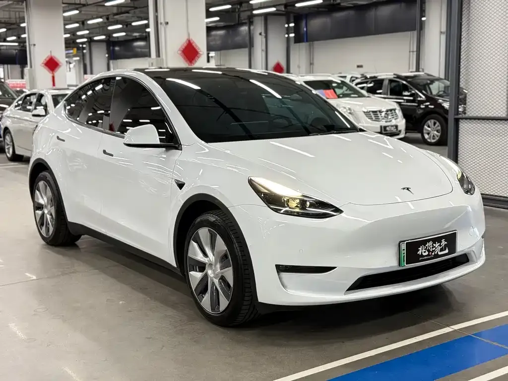Tesla Model Y — фото 6