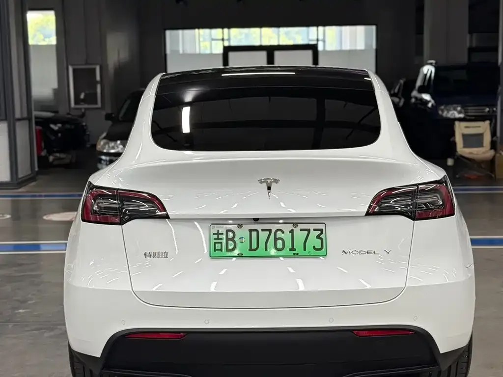 Tesla Model Y — фото 2