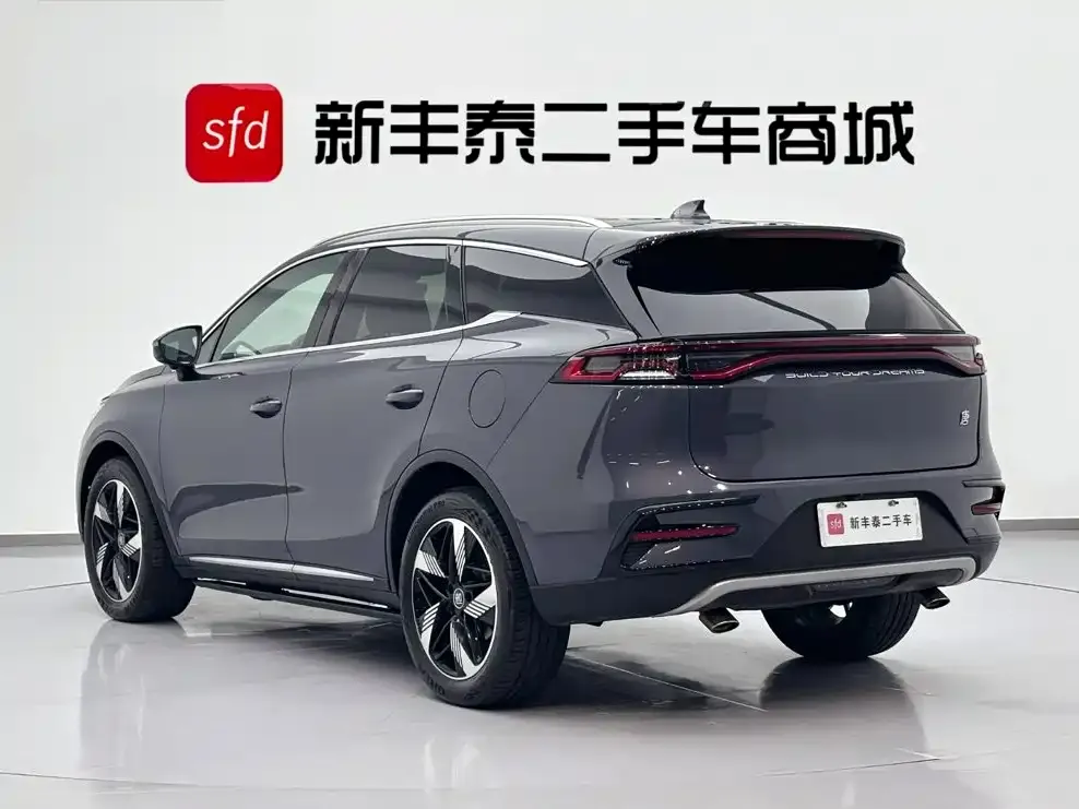 BYD Tang New Energy — фото 5