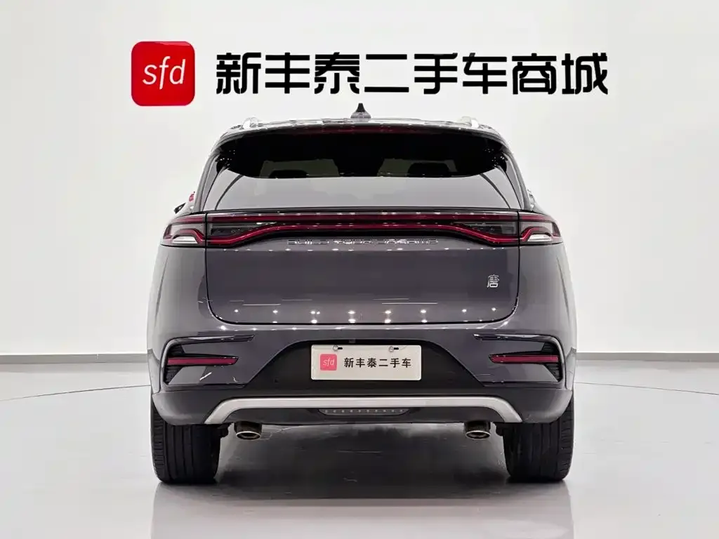 BYD Tang New Energy — фото 4