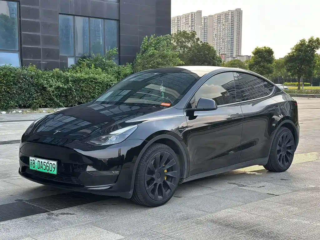 Tesla Model Y — фото 1
