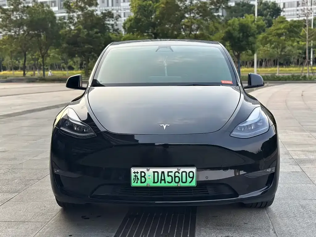 Tesla Model Y — фото 6