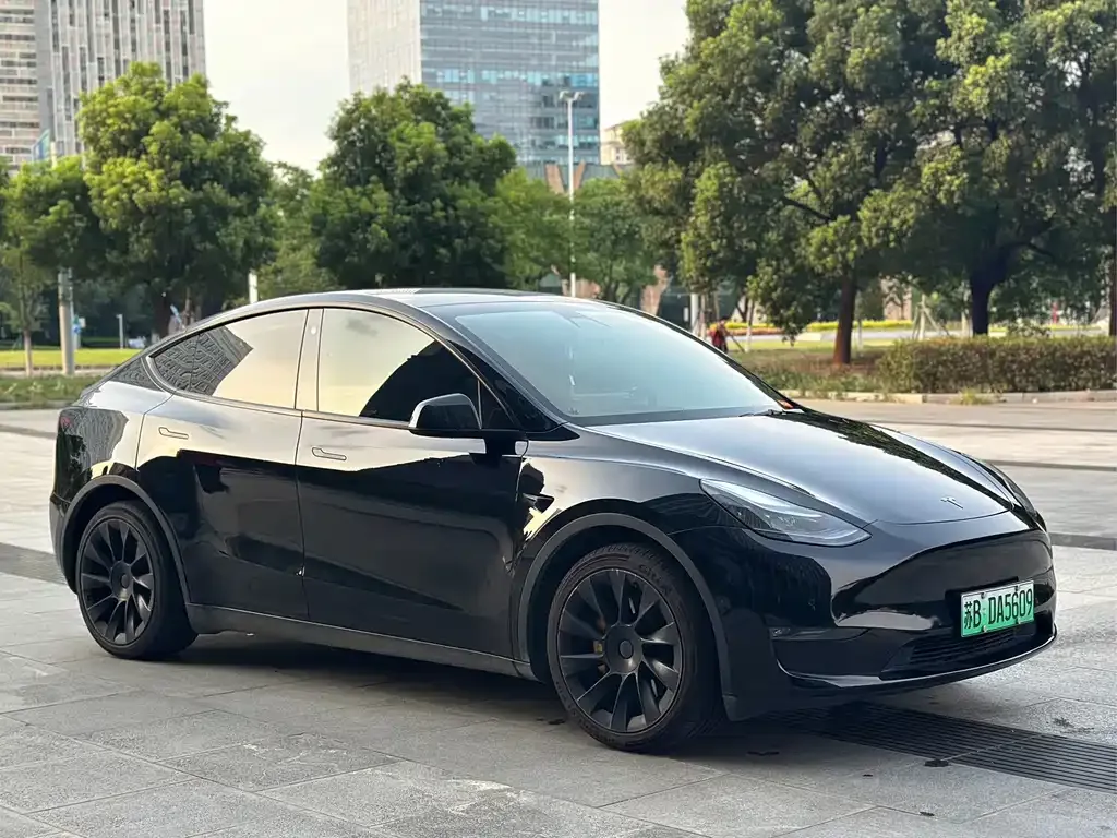 Tesla Model Y — фото 9