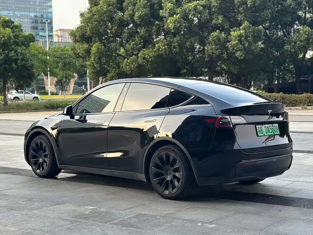 Tesla Model Y — фото 10
