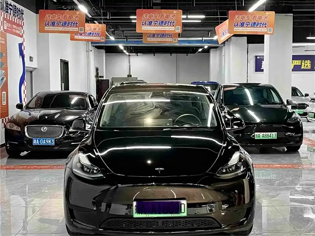 Tesla Model Y — фото 10