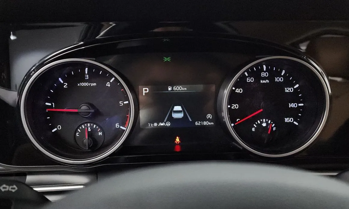 Kia Carnival — фото 10