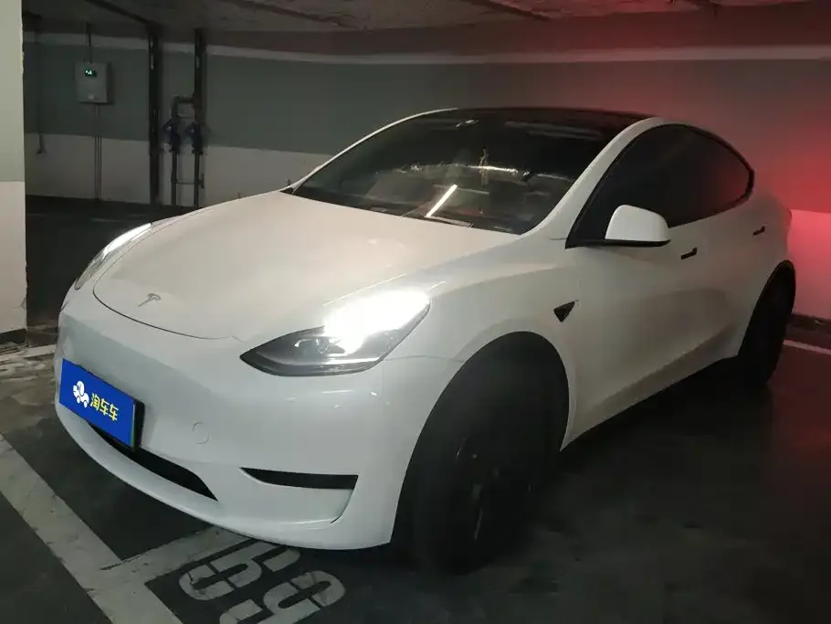 Tesla Model Y — фото 1