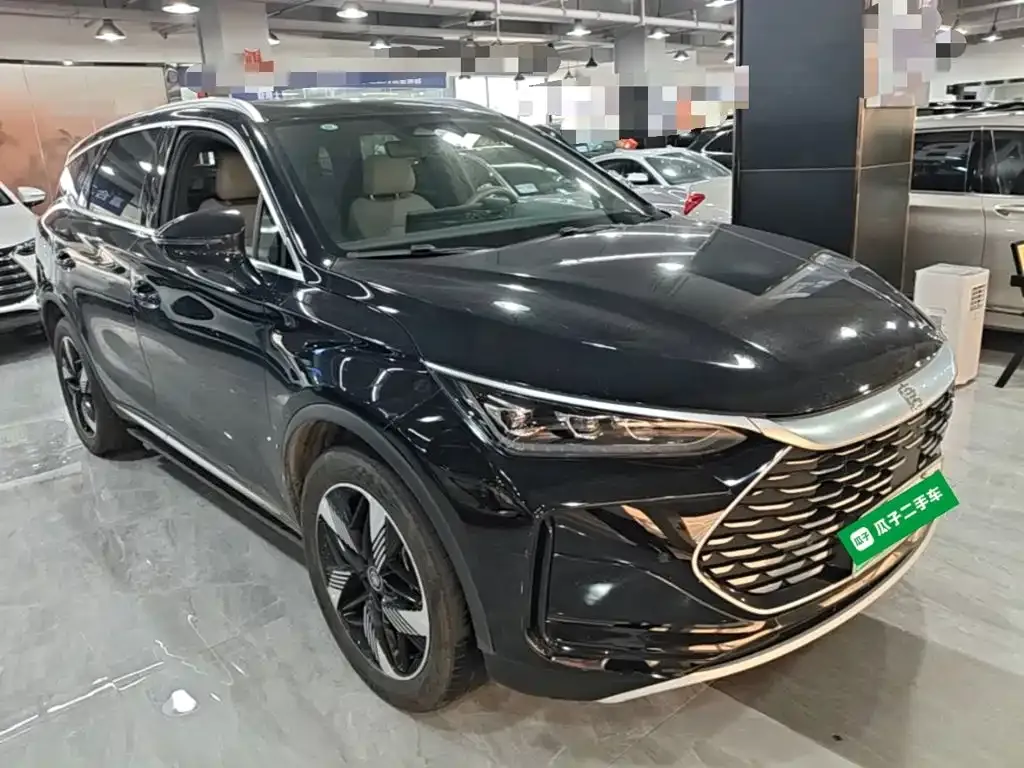 BYD Tang New Energy — фото 10