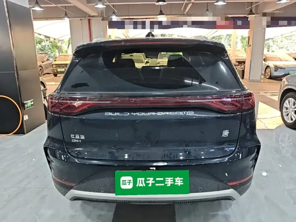 BYD Tang New Energy — фото 2