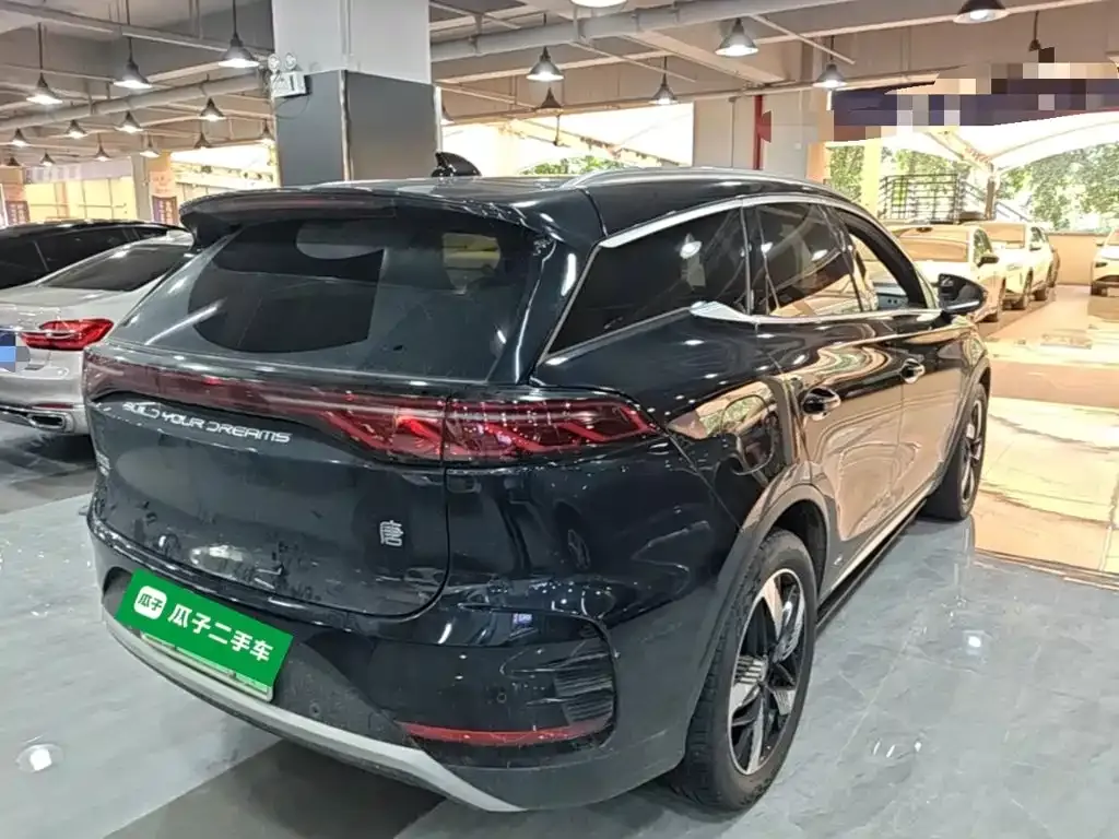 BYD Tang New Energy — фото 7