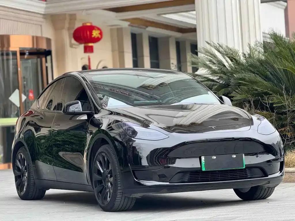 Tesla Model Y — фото 3