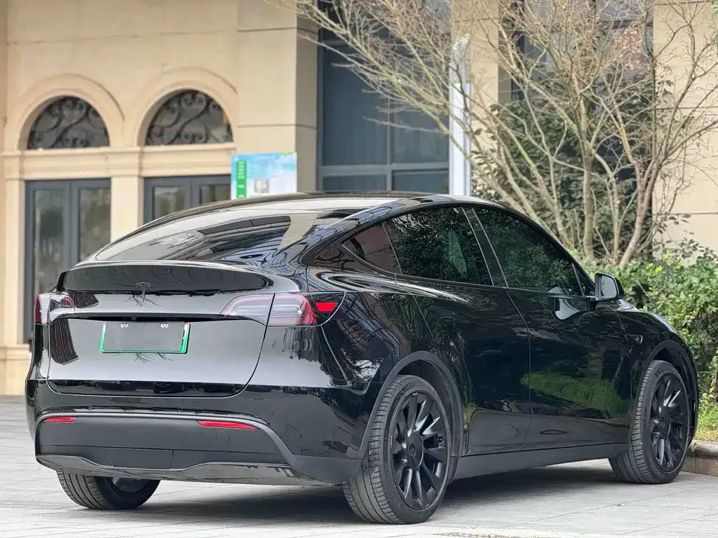 Tesla Model Y — фото 8