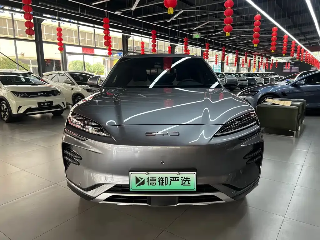 BYD PLUS New Energy — фото 3