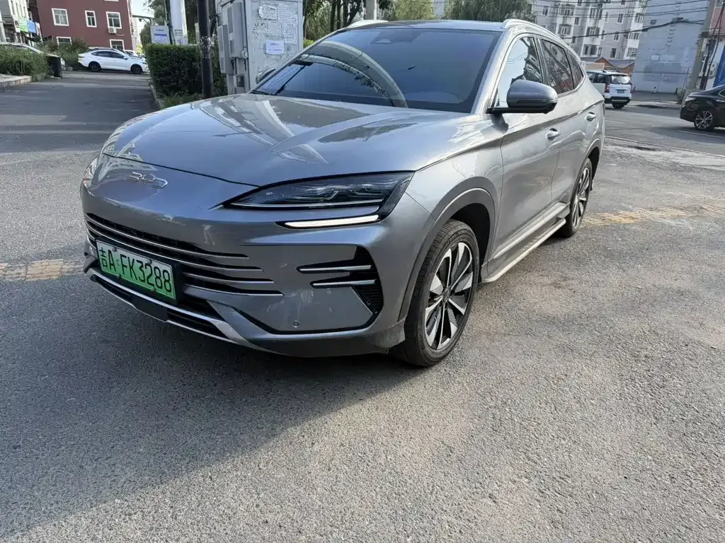 BYD PLUS New Energy — фото 1
