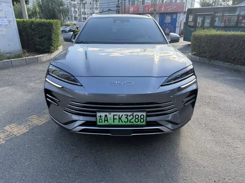 BYD PLUS New Energy — фото 5