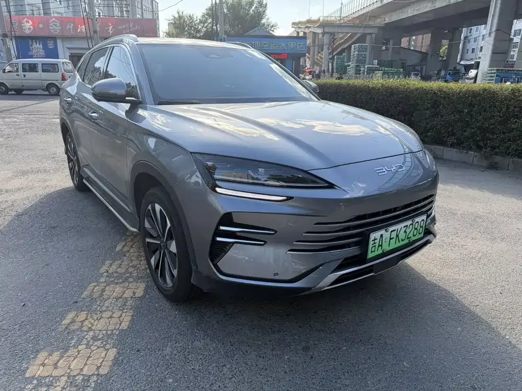 BYD PLUS New Energy — фото 8