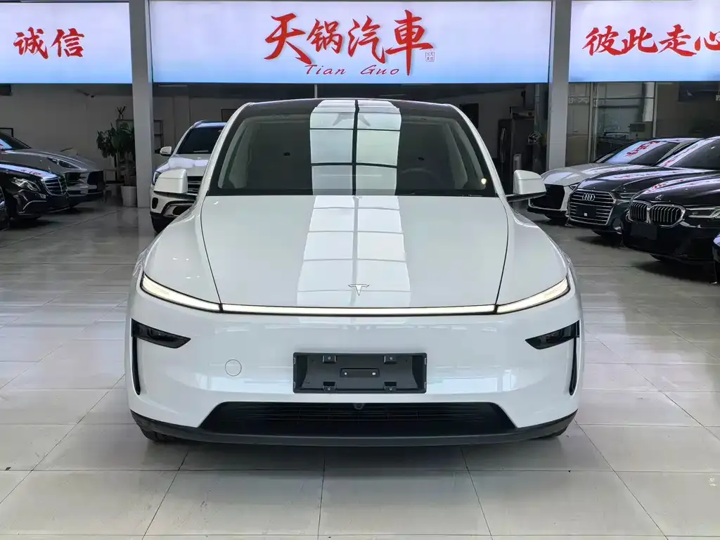 Tesla Model Y — фото 1