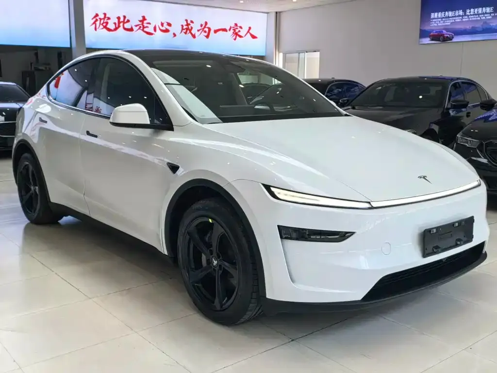 Tesla Model Y — фото 5