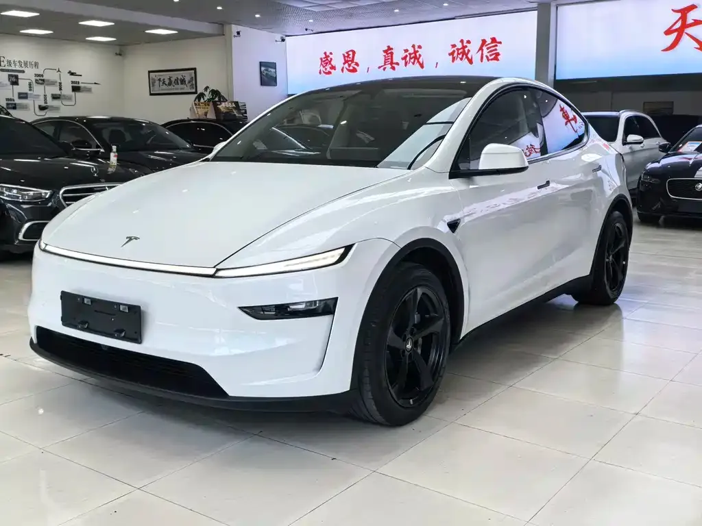 Tesla Model Y — фото 8