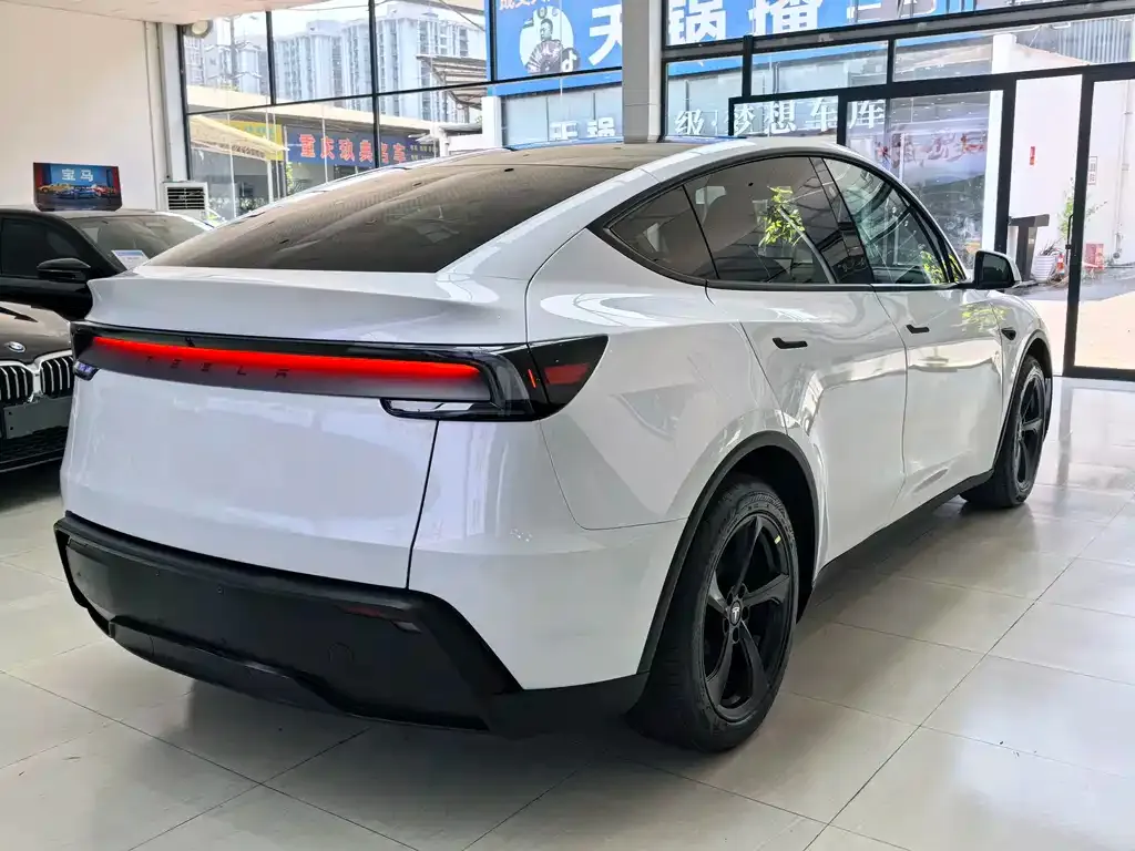 Tesla Model Y — фото 9