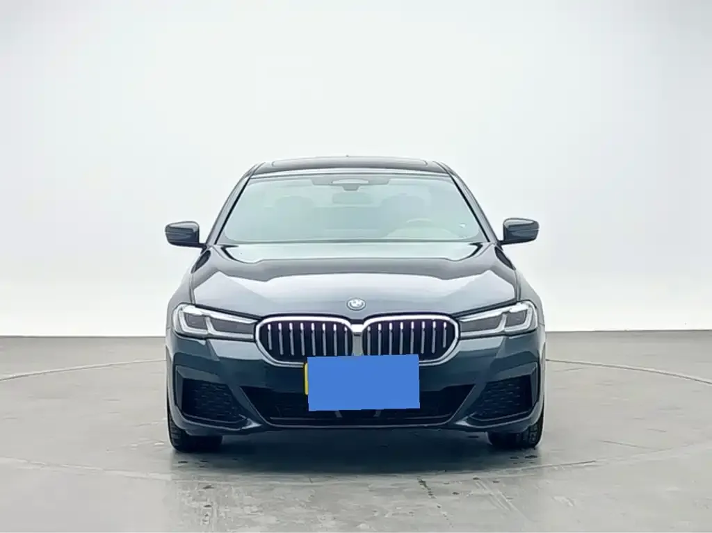 BMW 5 Series New Energy — фото 6