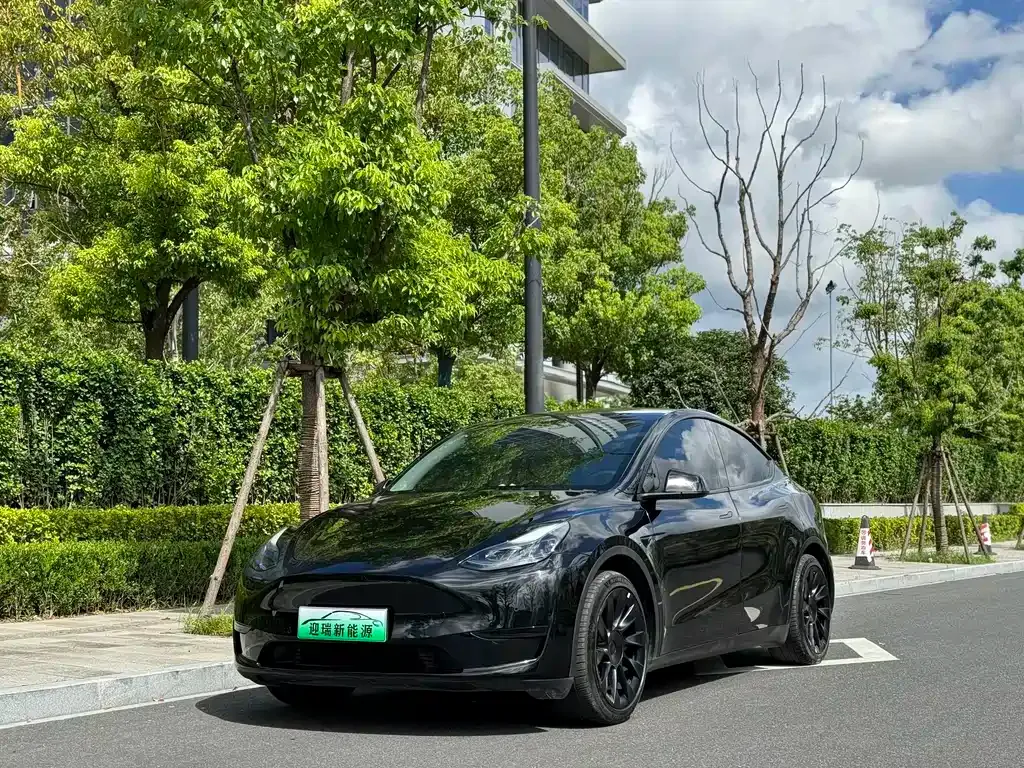 Tesla Model Y — фото 1