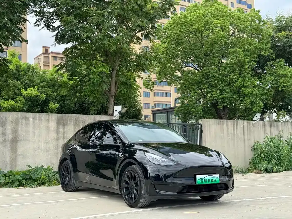 Tesla Model Y — фото 9
