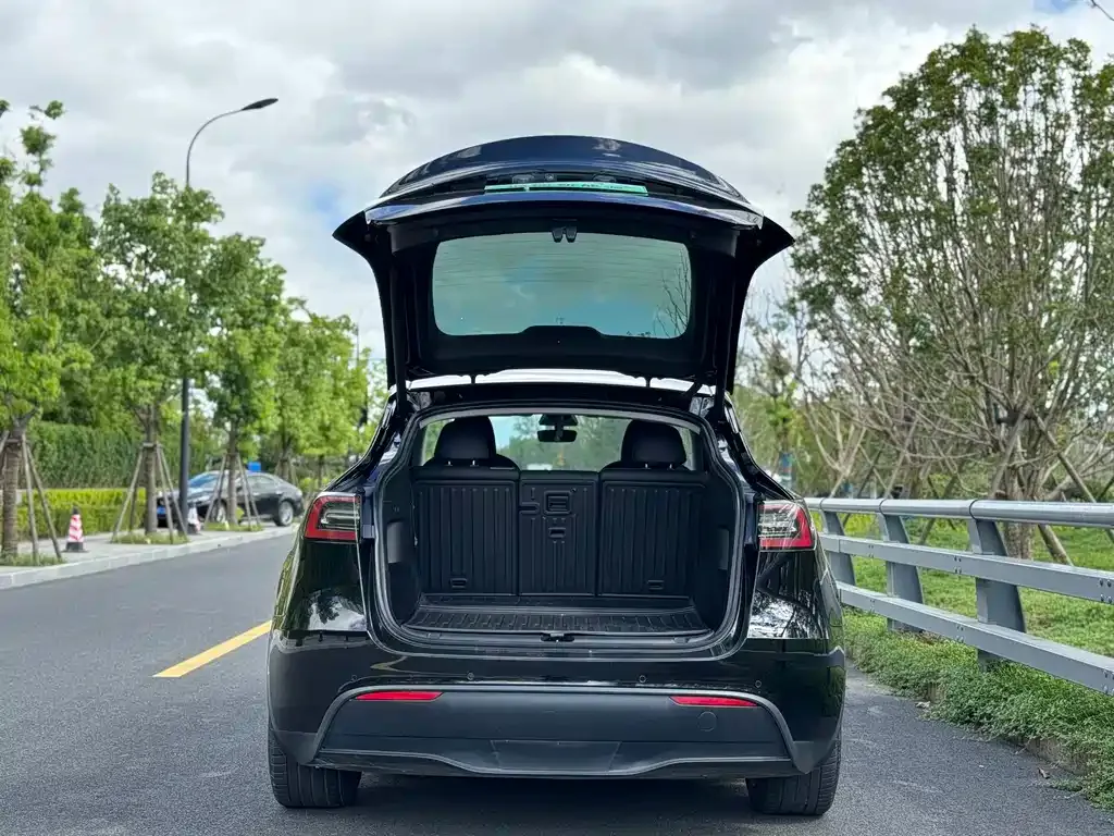 Tesla Model Y — фото 6