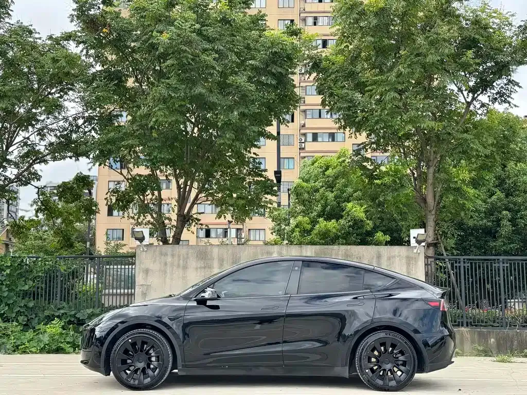 Tesla Model Y — фото 10