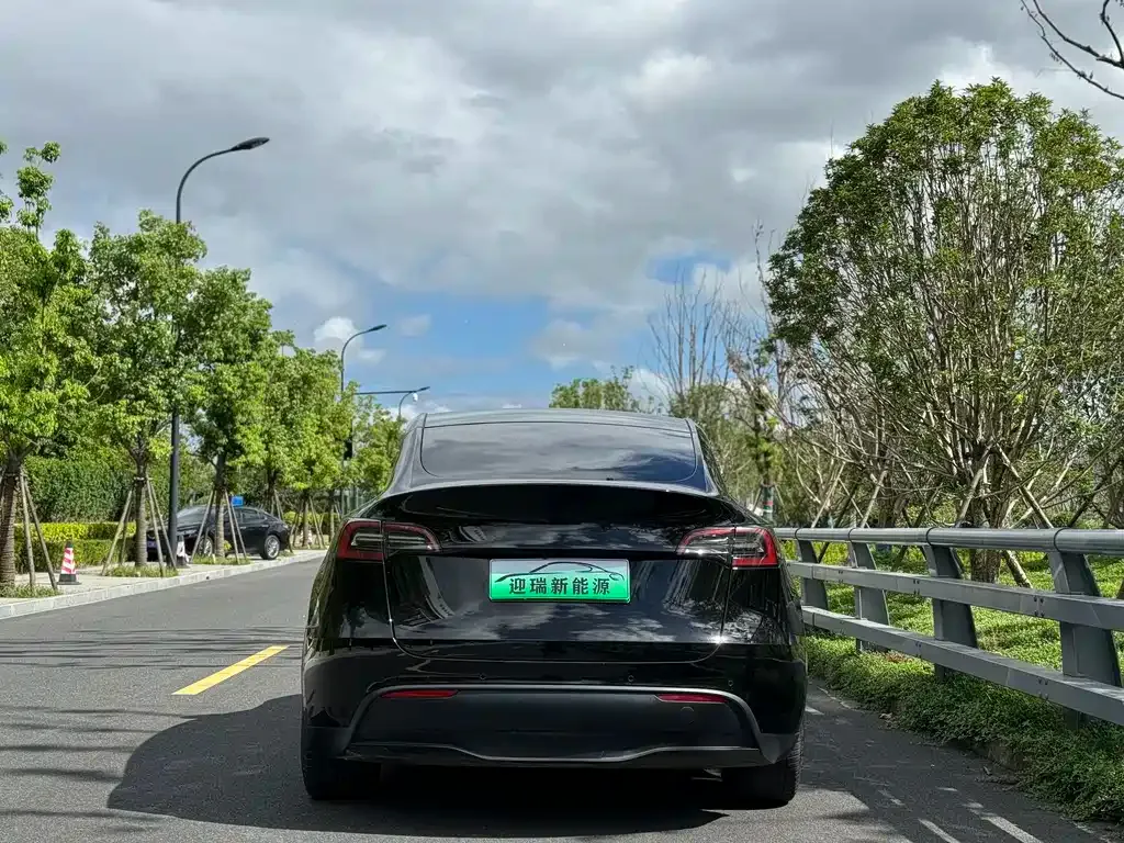 Tesla Model Y — фото 8