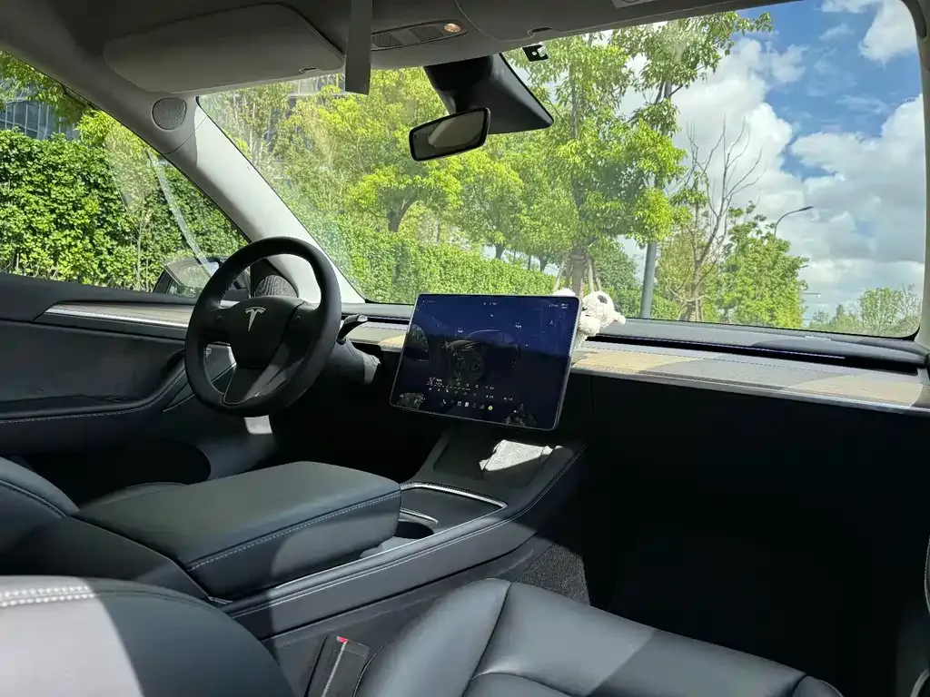 Tesla Model Y — фото 2