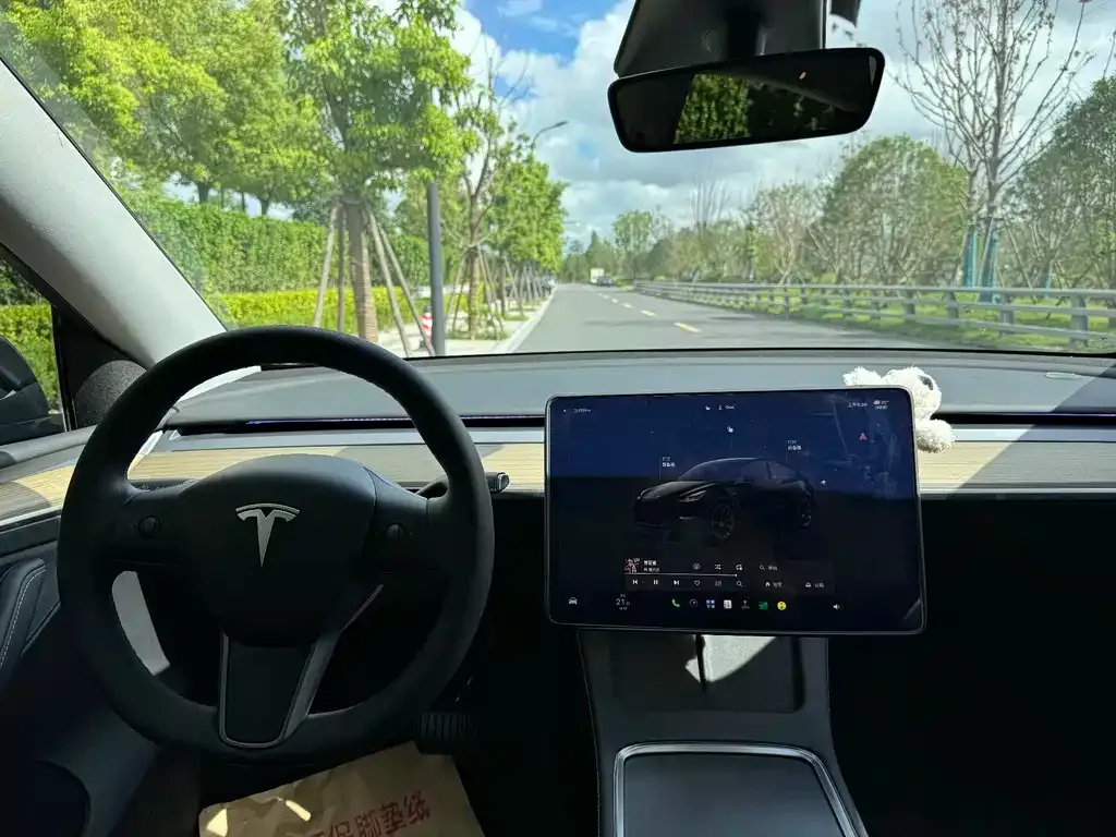 Tesla Model Y — фото 3