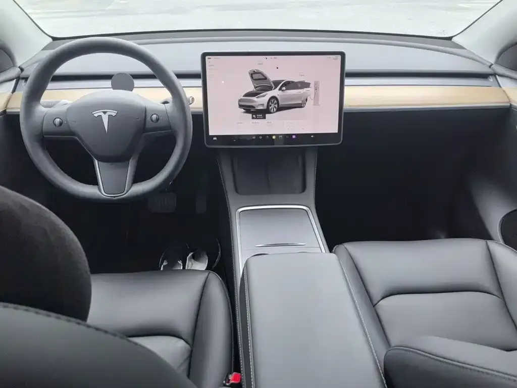 Tesla Model Y — фото 10