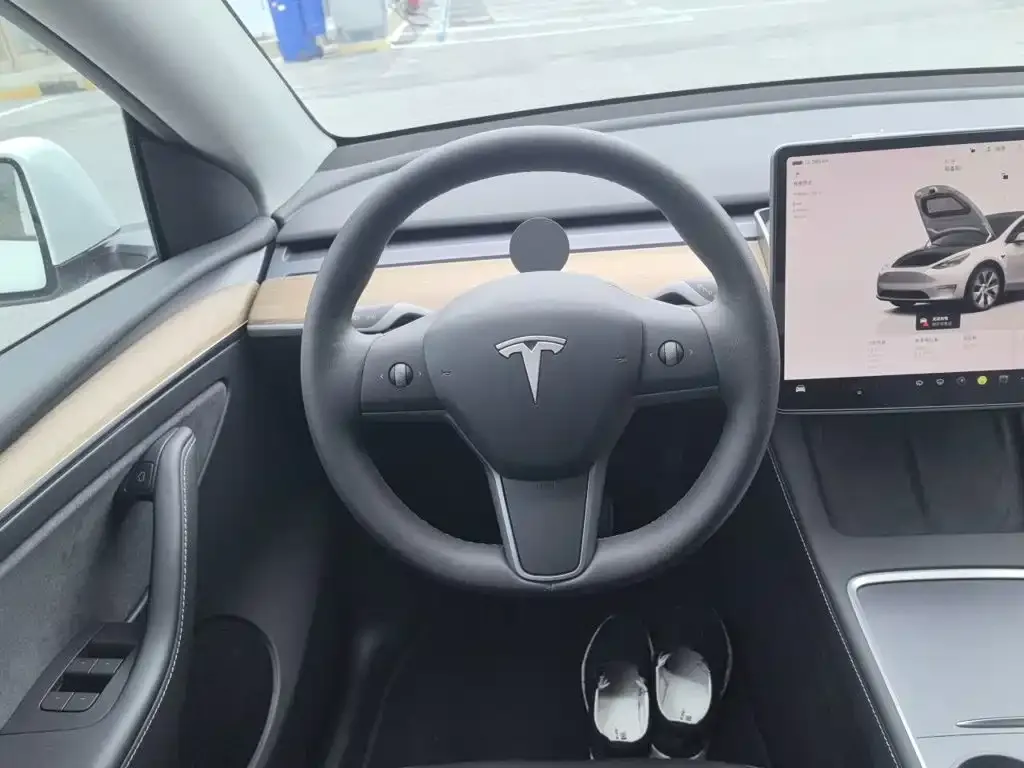 Tesla Model Y — фото 2