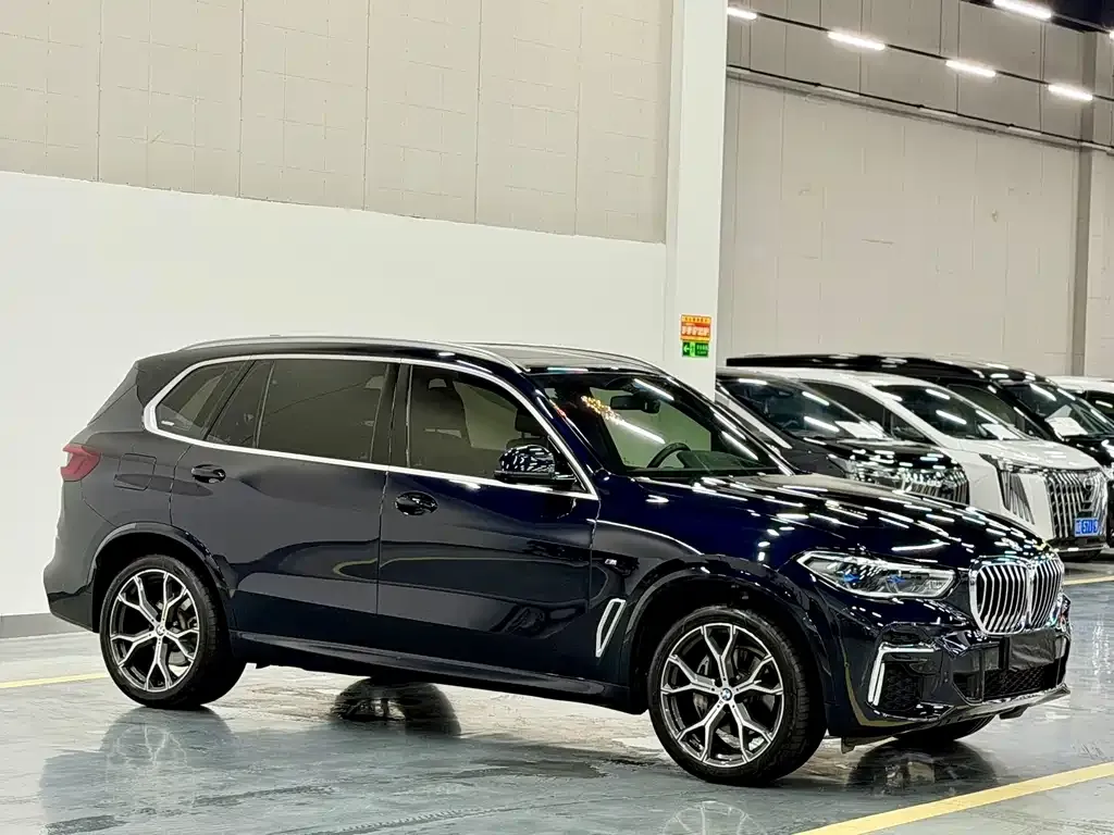 BMW X5 — фото 10