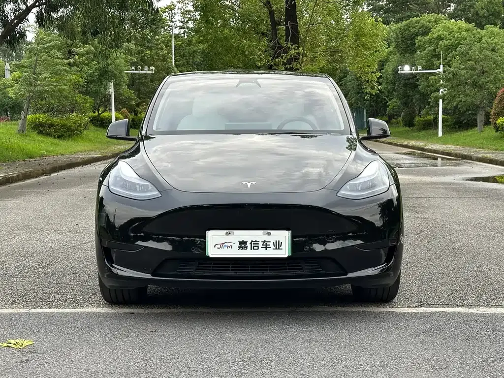 Tesla Model Y — фото 1